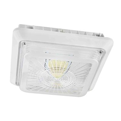 Appareils d'éclairage d'auvent de la cuisine 120V 40W 5000K IP65 LED